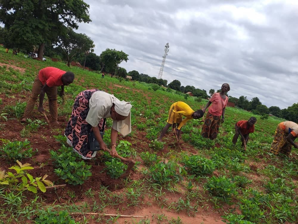 Développement agricole (Foto: ACN) Développement agricole (Foto: ACN)