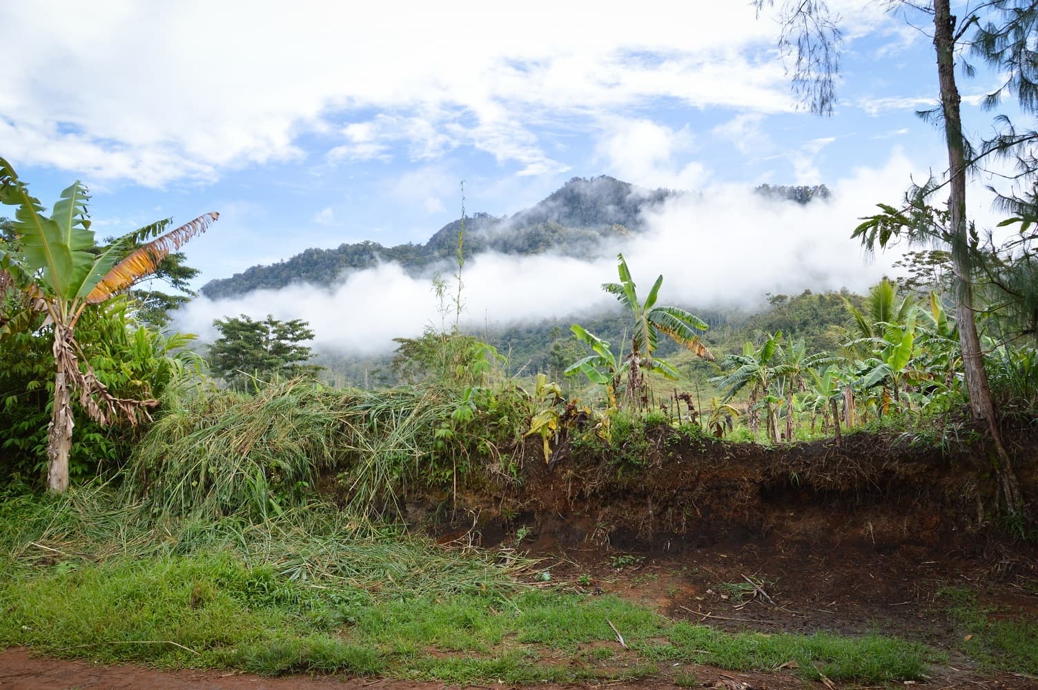 Papua Nuova Guinea (Foto: ACN) Papua Nuova Guinea (Foto: ACN)