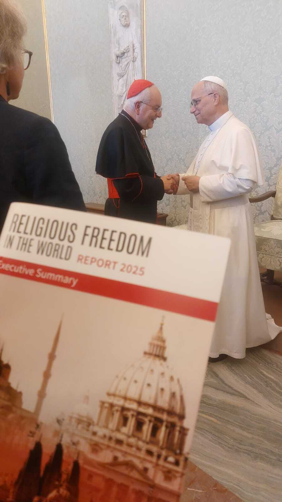 Papst Leo XIV erhielt den Bericht Religionsfreiheit ©ACN